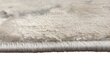 Gazelle paklājs 80x150 cm цена и информация | Paklāji | 220.lv