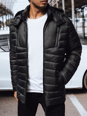 Куртка мужская с капюшоном, черная цена и информация | Мужские куртки | 220.lv