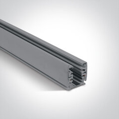 OneLight потолочный светильник Square Track Surface 40003A/G цена и информация | Потолочный светильник | 220.lv