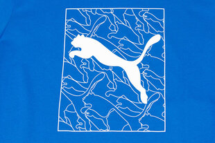 T-krekls vīriešiem Puma Graphics Cat 677184 47, zils цена и информация | Мужские футболки | 220.lv