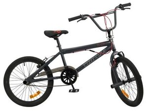 Bērnu velosipēds Toimsa 543, 20", melns цена и информация | Велосипеды | 220.lv