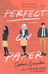 Perfect on Paper цена и информация | Книги для подростков  | 220.lv