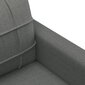 Trīsvietīgs dīvāns vidaXL, tumši pelēks цена и информация | Dīvāni | 220.lv