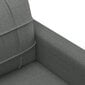 Divvietīgs dīvāns vidaXL, tumši pelēks cena un informācija | Dīvāni | 220.lv
