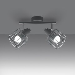 Sollux griestu lampa Beluci 2 cena un informācija | Griestu lampas | 220.lv