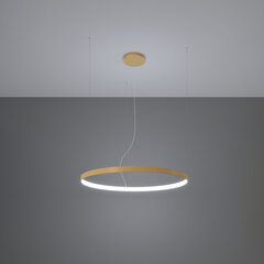 Sollux griestu lampa RIO 110 cena un informācija | Griestu lampas | 220.lv