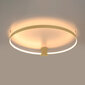 Sollux griestu lampa Rio 78 cena un informācija | Griestu lampas | 220.lv