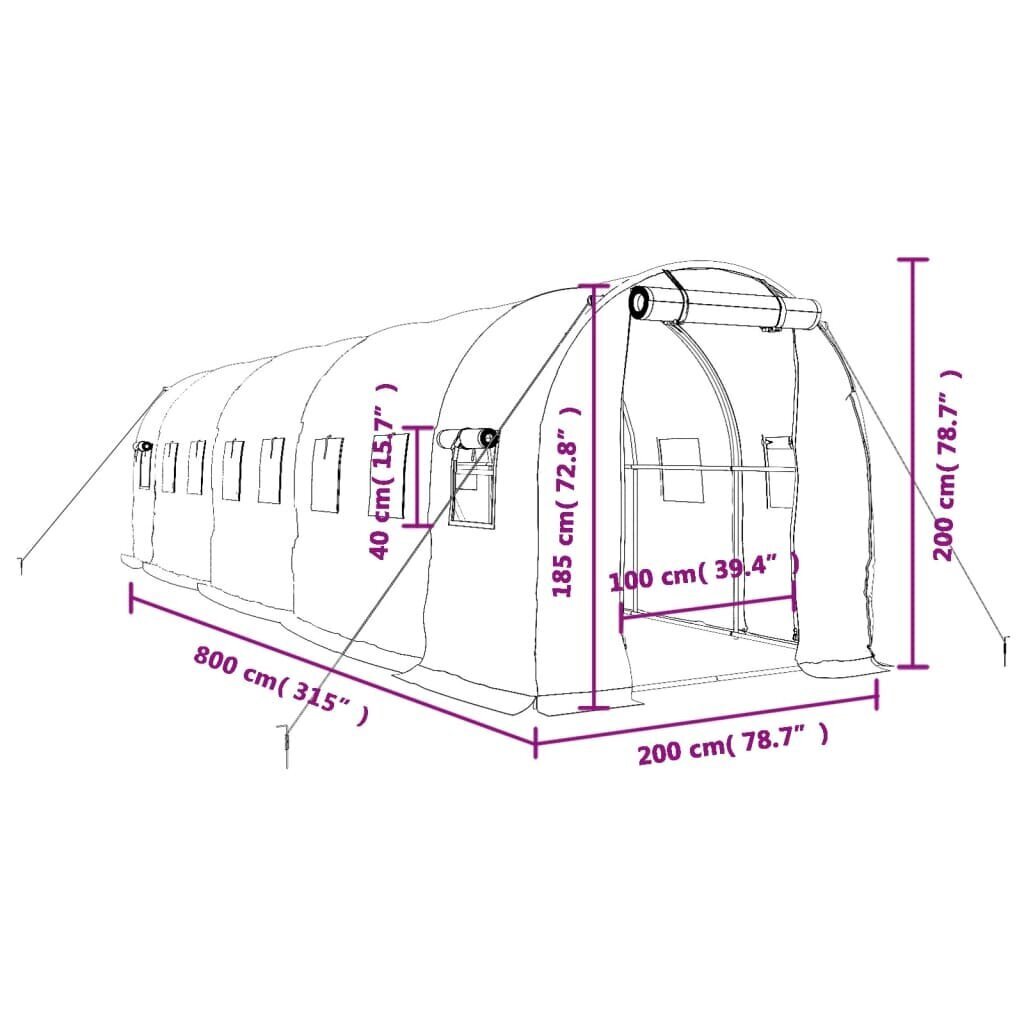 Siltumnīca vidaXL, 16 m², 8x2x2 m цена и информация | Siltumnīcas | 220.lv