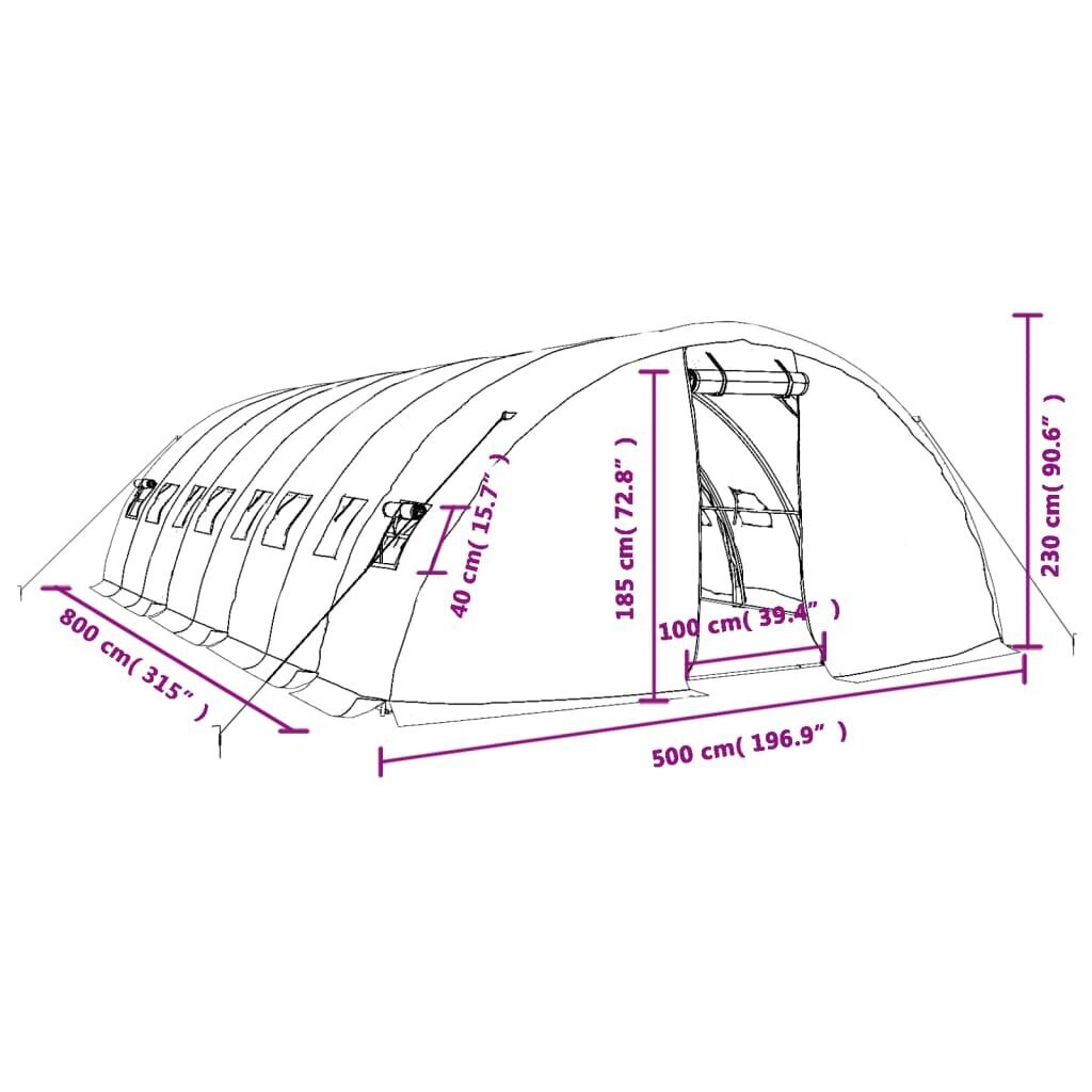 Siltumnīca vidaXL, 40 m², 8x5x2,3 m cena un informācija | Siltumnīcas | 220.lv