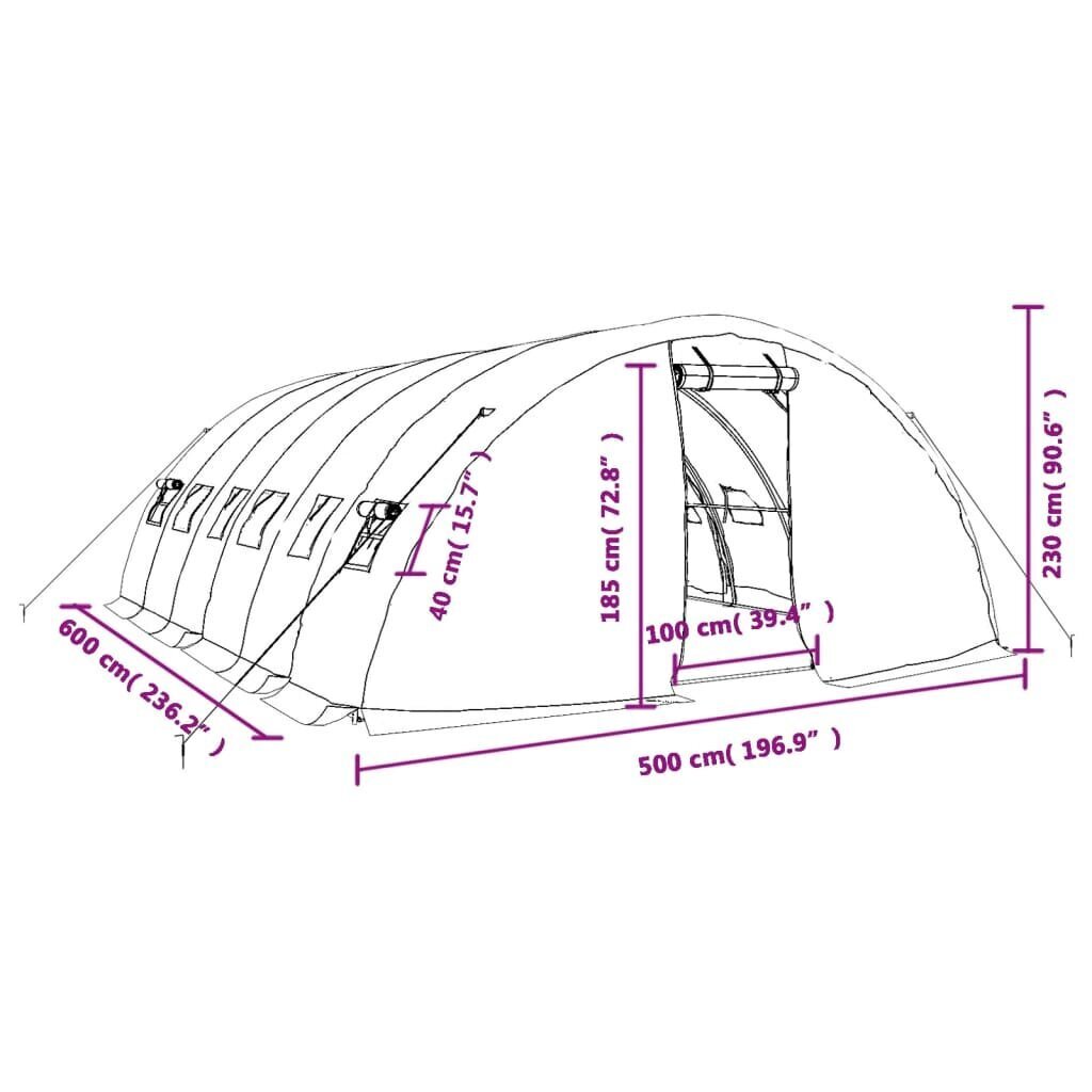 Siltumnīca vidaXL, 30 m², 6x5x2,3 m cena un informācija | Siltumnīcas | 220.lv