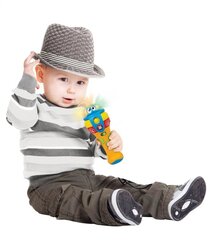 Mikrofons bērniem ar skaņas un gaismas efektiem WinFun цена и информация | Игрушки для малышей | 220.lv