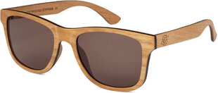 Солнцезащитные очки Aarni Blues Tarvalepä, коричневые цена и информация | Солнцезащитные очки для мужчин | 220.lv