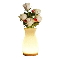 Ziedu vāze Floral Lights, 20cm cena un informācija | Vāzes | 220.lv