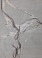 Ковер Keshari Silk KЕ-483 250x300 cm