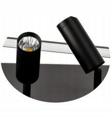 Потолочный светодиодный светильник Oregon 58х38 см, черный цена и информация | Потолочный светильник | 220.lv