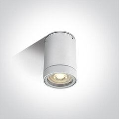 ONELight уличный потолочный светильник Cylinders 67130C/W цена и информация | Потолочные светильники | 220.lv