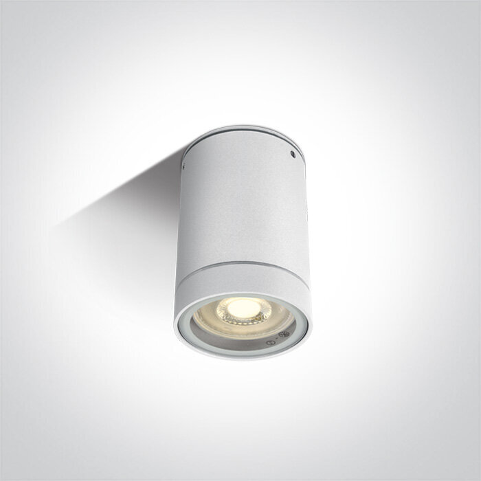 OneLight āra griestu lampa Cylinders 67130C/W cena un informācija | Griestu lampas | 220.lv
