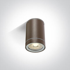OneLight āra griestu lampa Cylinders 67130C/BR цена и информация | Потолочные светильники | 220.lv