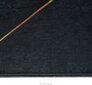Eureka paklājs Star 301 100x150 cm cena un informācija | Paklāji | 220.lv