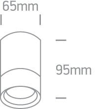 OneLight āra griestu lampa Cylinders 67130C/G cena un informācija | Griestu lampas | 220.lv