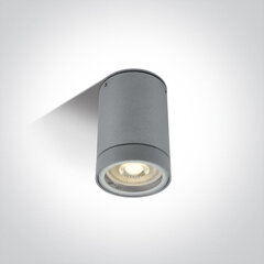 OneLight āra griestu lampa Cylinders 67130C/G cena un informācija | Griestu lampas | 220.lv