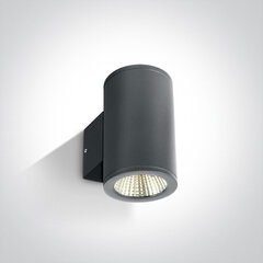 OneLight āra sienas lampa Cylinders 67138/AN/W cena un informācija | Āra apgaismojums | 220.lv