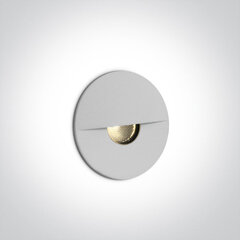 OneLight āra sienas lampa LED 68070/W/W цена и информация | Уличное освещение | 220.lv