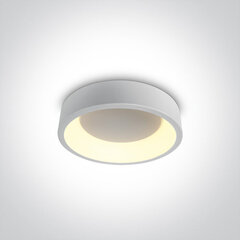 OneLight griestu lampa LED 62130N/W/W цена и информация | Потолочные светильники | 220.lv