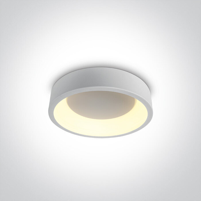 OneLight griestu lampa LED 62130N/W/W цена и информация | Griestu lampas | 220.lv