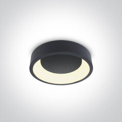 OneLight griestu lampa LED 62130N/AN/W cena un informācija | Griestu lampas | 220.lv