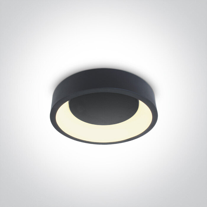 OneLight griestu lampa LED 62130N/AN/W cena un informācija | Griestu lampas | 220.lv