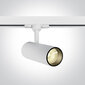 OneLight griestu lampa COB Cylinder LED 65642AT/W/W цена и информация | Griestu lampas | 220.lv