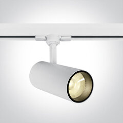 ONELight потолочный светильник COB Cylinder LED 65642BT/W/W цена и информация | Потолочный светильник | 220.lv