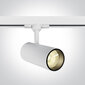 OneLight griestu lampa COB Cylinder LED 65642BT/W/W cena un informācija | Griestu lampas | 220.lv