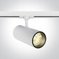 OneLight griestu lampa COB Cylinder Track LED 65642CT/W/W цена и информация | Griestu lampas | 220.lv