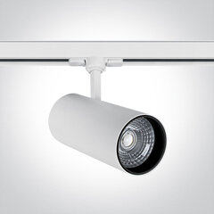OneLight griestu lampa COB Cylinder Track LED 65642CT/W/C цена и информация | Потолочные светильники | 220.lv
