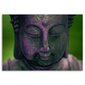 Glezna uz audekla, Budas galva - violeta cena un informācija | Gleznas | 220.lv