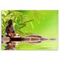 Glezna uz audekla, Buda un bambusa lapas цена и информация | Gleznas | 220.lv