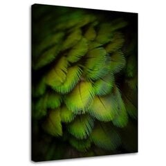 Glezna uz audekla, Dekoratīvās zaļās spalvas цена и информация | Картины | 220.lv