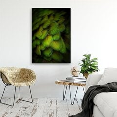 Glezna uz audekla, Dekoratīvās zaļās spalvas цена и информация | Картины | 220.lv