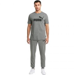 Puma t-krekls vīriešiem ESS Tee Medium M 58666603, pelēks cena un informācija | Vīriešu T-krekli | 220.lv