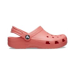 Crocs™ Classic Clog Kid's 206990 243836 цена и информация | Детские тапочки, домашняя обувь | 220.lv