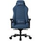 Spēļu krēsls Lorgar Ace 422, zils цена и информация | Biroja krēsli | 220.lv