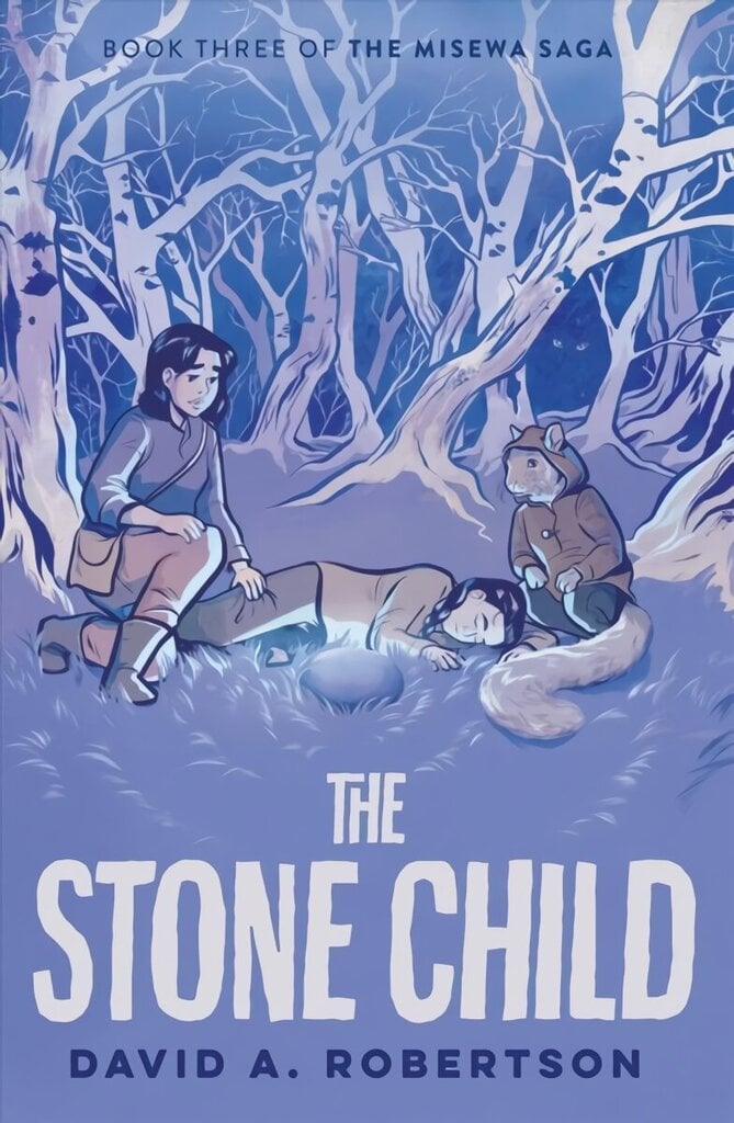 Stone Child: The Misewa Saga, Book Three cena un informācija | Grāmatas pusaudžiem un jauniešiem | 220.lv