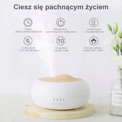 Ultraskaņas gaisa mitrinātājs Aroma Zen Eco cena un informācija | Gaisa mitrinātāji | 220.lv