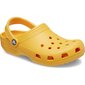 Crocs™ sieviešu iešļūcenes 262379, dzeltenas cena un informācija | Iešļūcenes, čības sievietēm | 220.lv