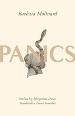 Panics цена и информация | Фантастика, фэнтези | 220.lv