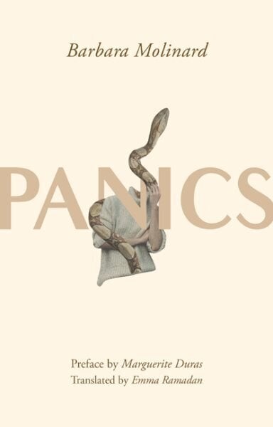 Panics cena un informācija | Fantāzija, fantastikas grāmatas | 220.lv