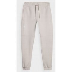 Trousers 4F M 4FSS23TTROM137BEIGE 4FSS23TTROM137BEŻ*XXL cena un informācija | Sporta apģērbs vīriešiem | 220.lv