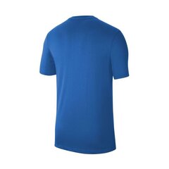 T-krekls vīriešiem Nike Dri-Fit CW6936-463, zils cena un informācija | Vīriešu T-krekli | 220.lv